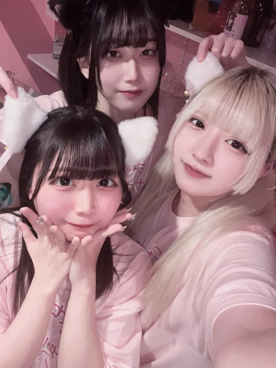 桃猫堂秋葉原店🐾コンカフェ最大手✴️@momonekodou002