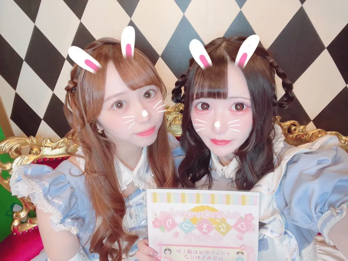 Alice × Alice アリス×アリス 秋葉原コンカフェ@AlicexAlice_Tea