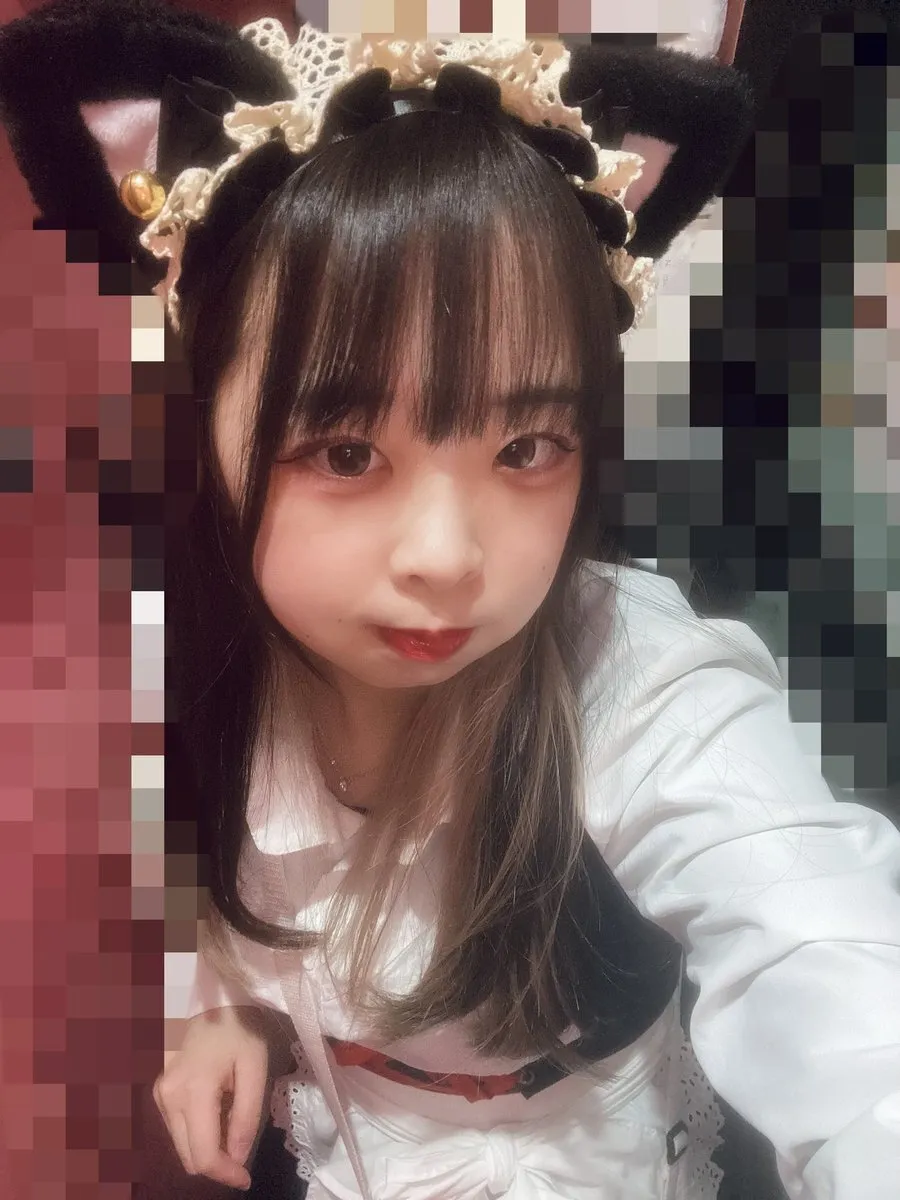 めい@みけねこカフェ秋葉原@meimikecat