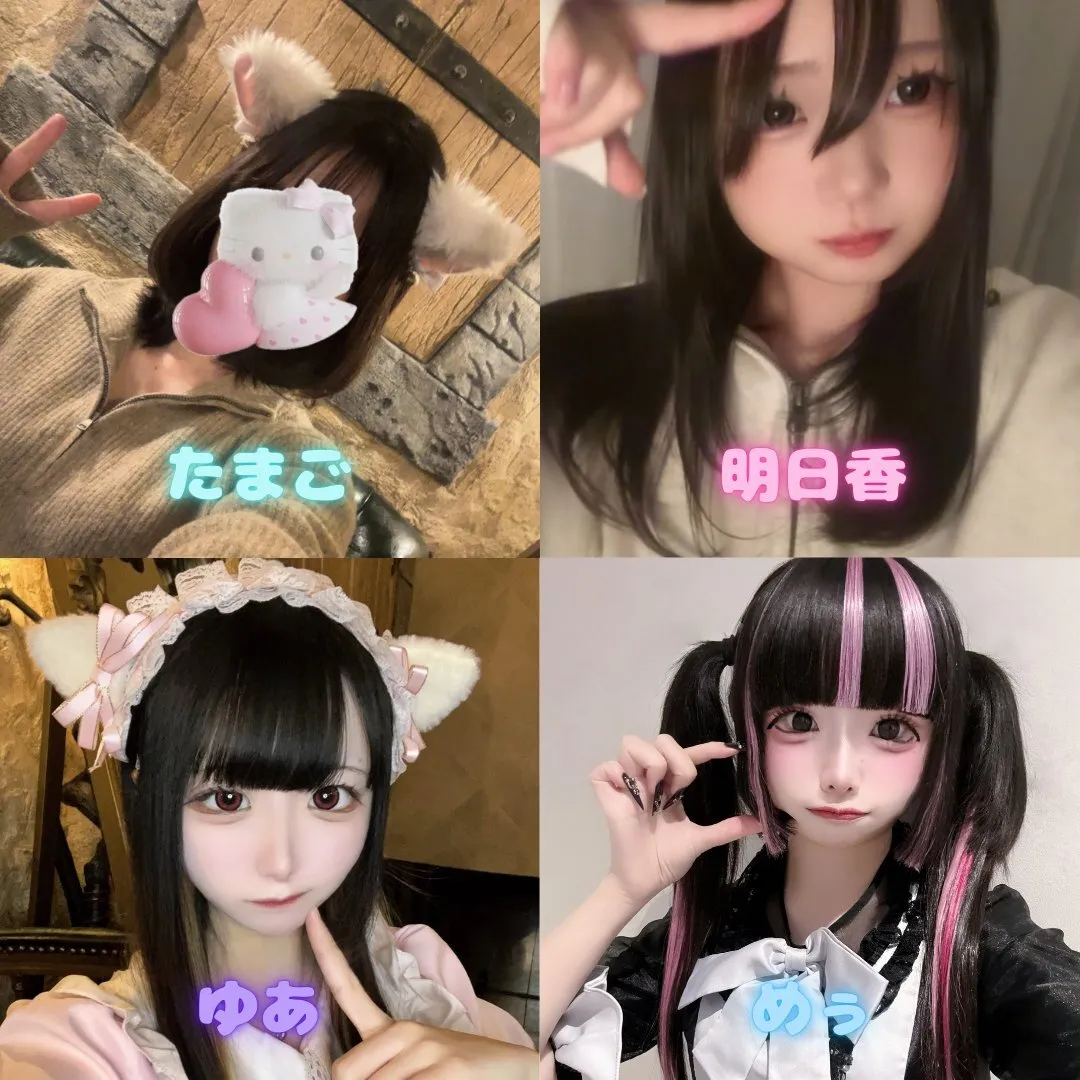 【キャスト募集中】まほネコ🐈‍⬛魔法の国の猫メイド【コンカフェ】@mahoneko_cafe