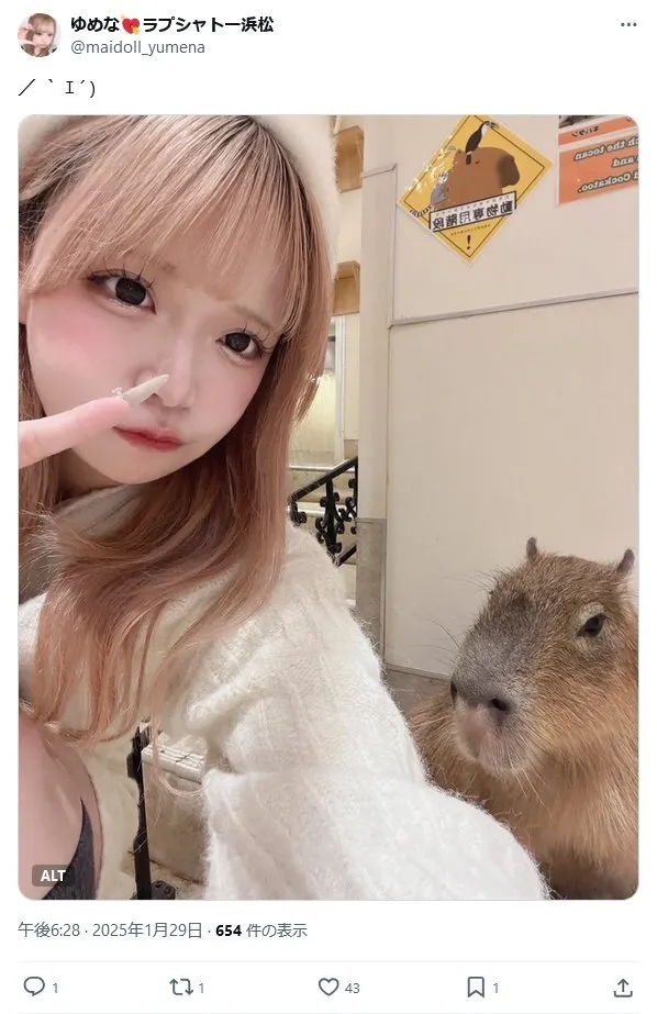 hirokazu@hirokazu_niwa