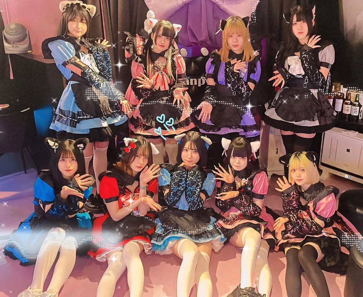 仙台にゃんこメイドバー💜Nyanpontan@bar_nyanpontan