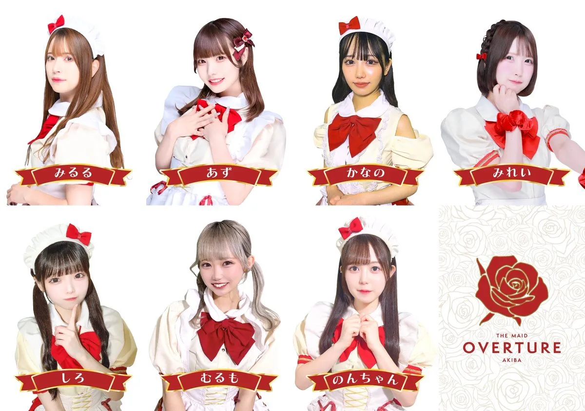 OVERTURE(オーバーチュアー)🥀秋葉原コンカフェ@overture_akiba