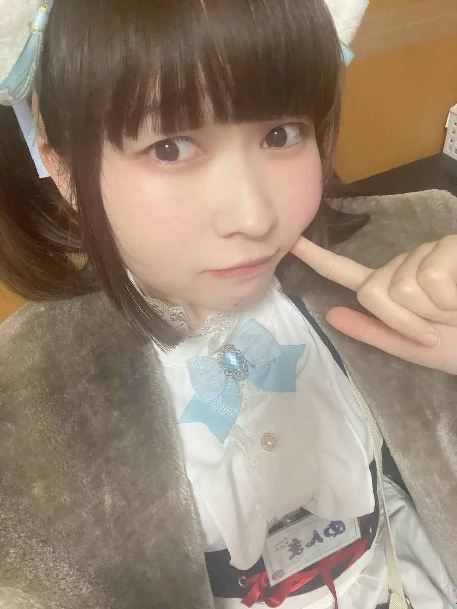 めんま@みけねこカフェ池袋店@menmamikeneko