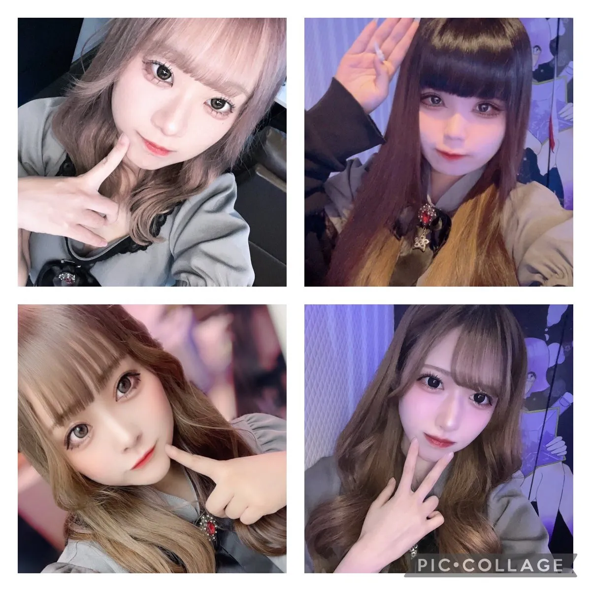 cafe&bar Stella@Stella20226