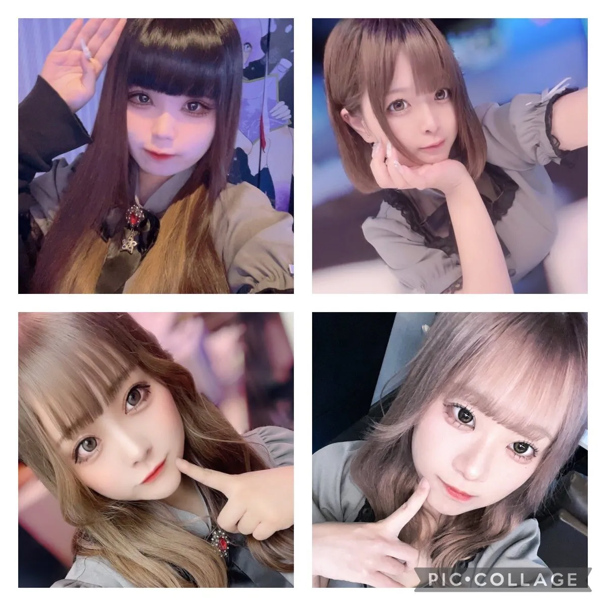 cafe&bar Stella@Stella20226