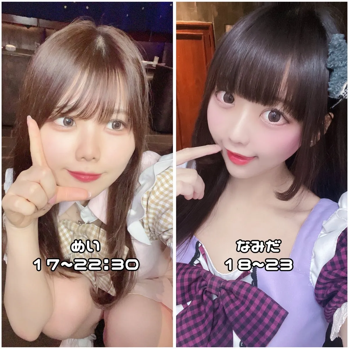 Starry Paradise@StarryParadise_