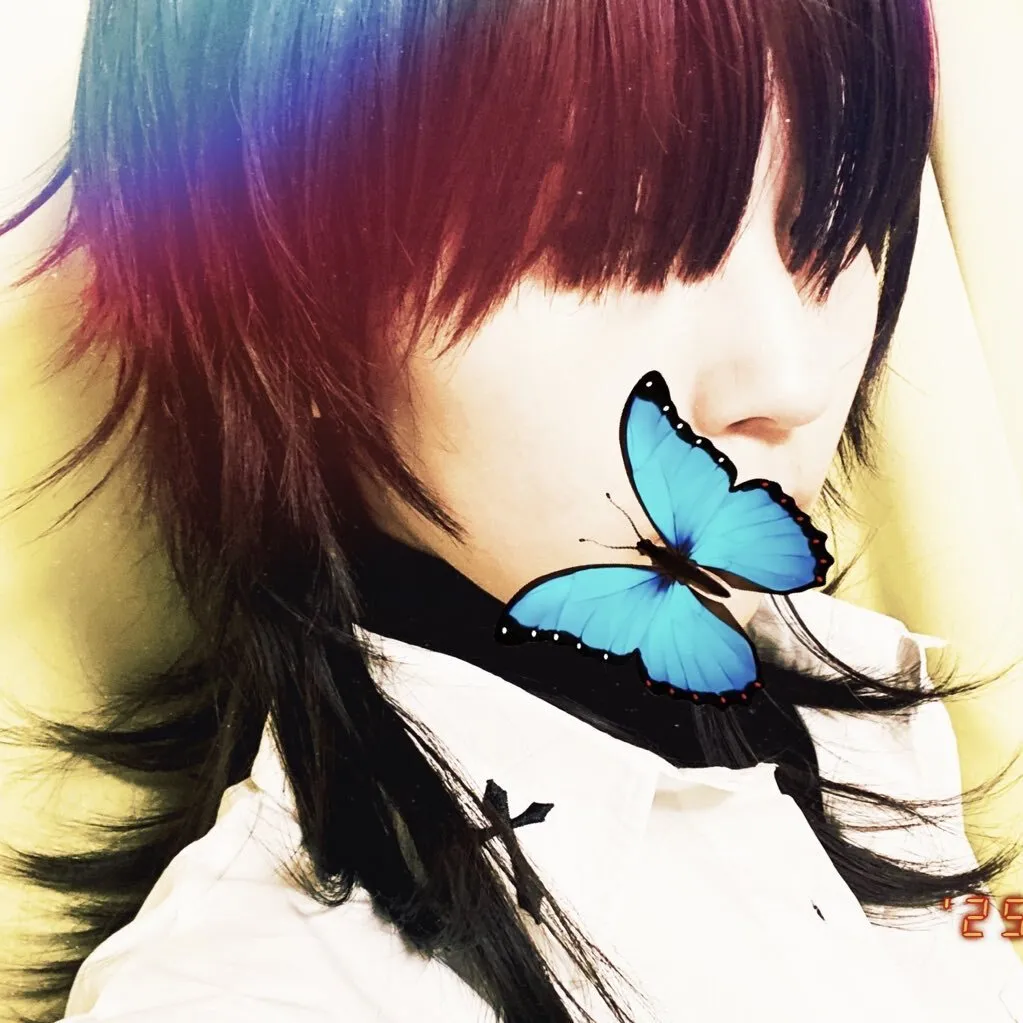 ヨハン🦚@johann_noir