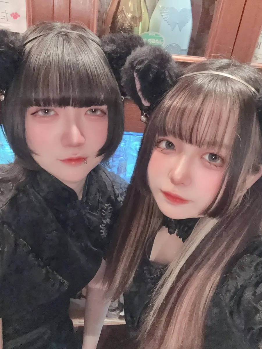 チャイニャコンカフェ桃猫堂 新宿歌舞伎町@コンカフェ最大手@momonekodou001
