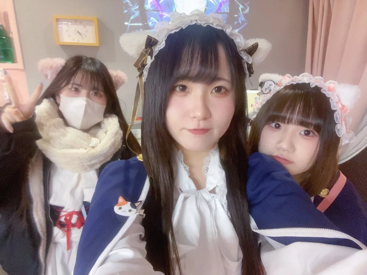 ほし@みけねこカフェ池袋店@hoshimikecat