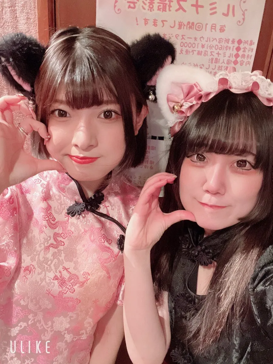 チャイニャコンカフェ桃猫堂 新宿歌舞伎町@コンカフェ最大手@momonekodou001