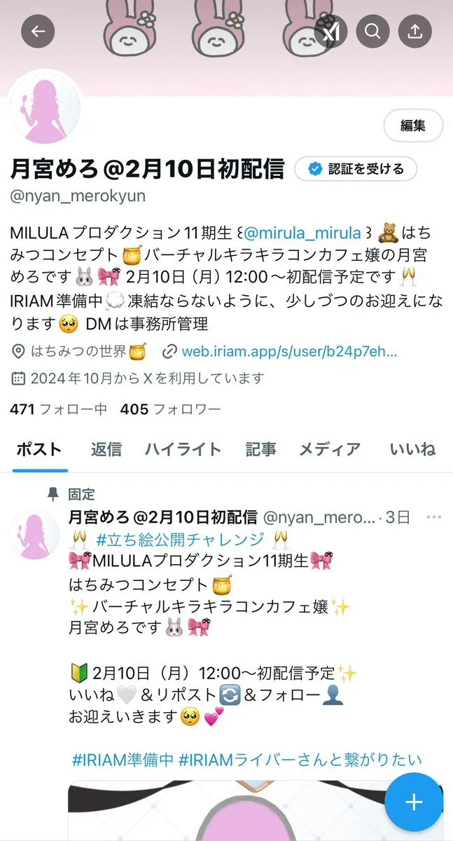 月宮めろ@2月10日初配信@nyan_merokyun