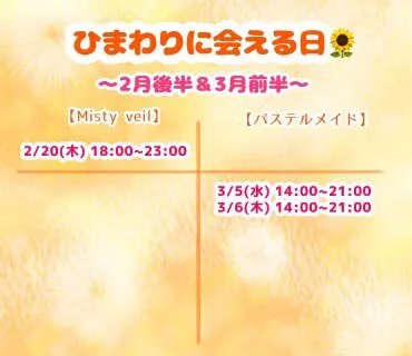 ひまわり🌻Misty veil@himawari_veil