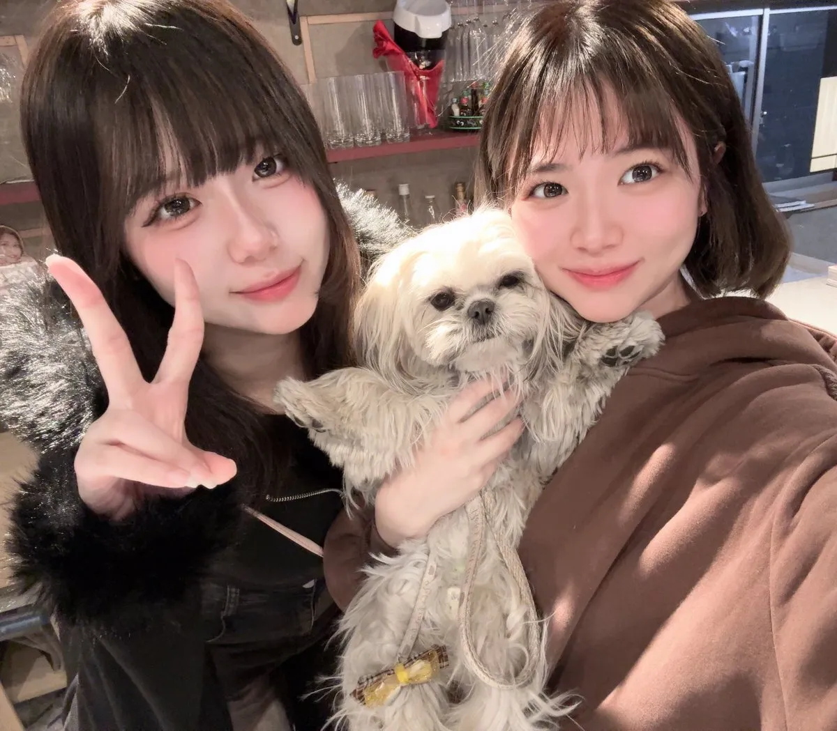 🎀あいまいみーまいん🎀@imymemine_2020