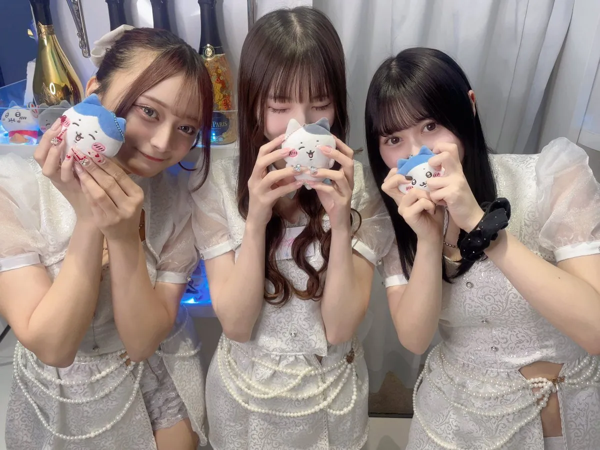 あきゅろす。🤍秋葉原コンカフェ@akyurosu_akb