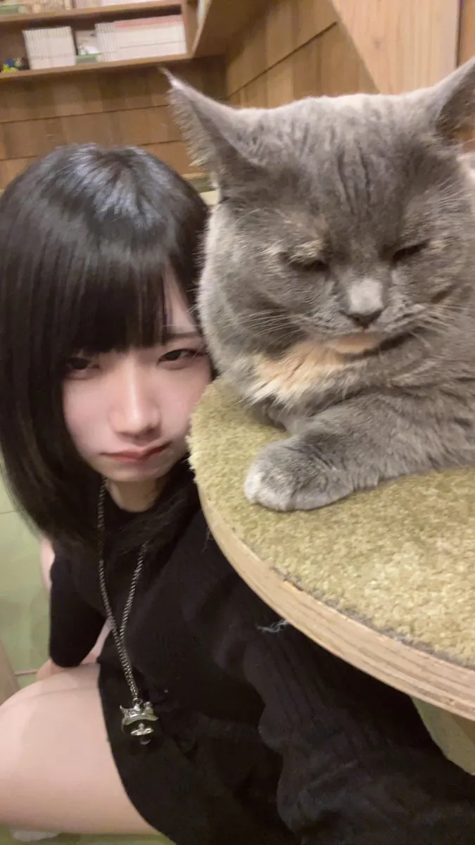 れい🪬@rei_oshiose