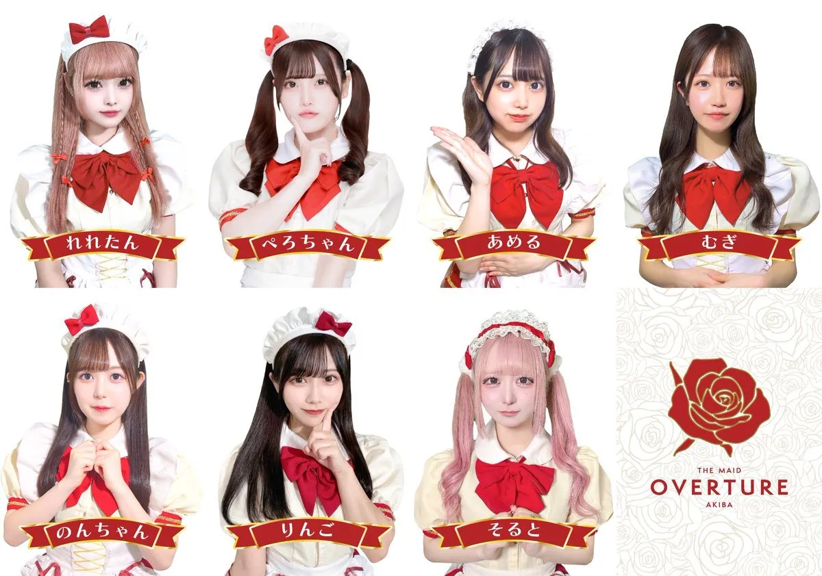 OVERTURE(オーバーチュアー)🥀秋葉原コンカフェ@overture_akiba