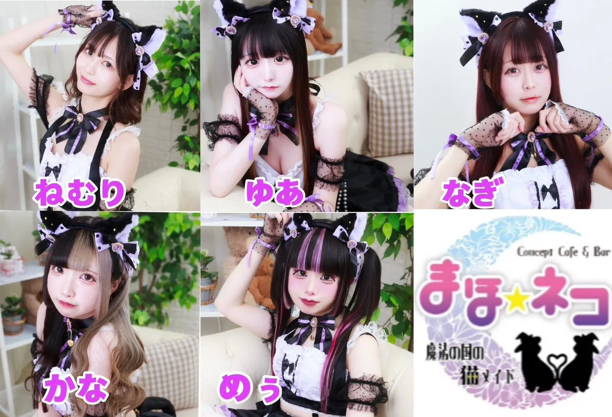 【キャスト募集中】まほネコ🐈‍⬛魔法の国の猫メイド【コンカフェ】@mahoneko_cafe