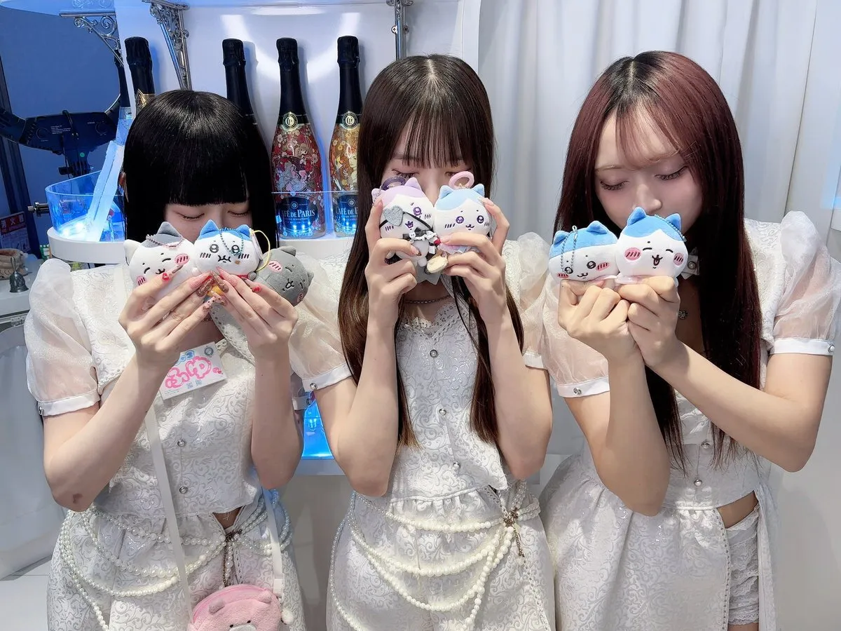 あきゅろす。🤍秋葉原コンカフェ@akyurosu_akb