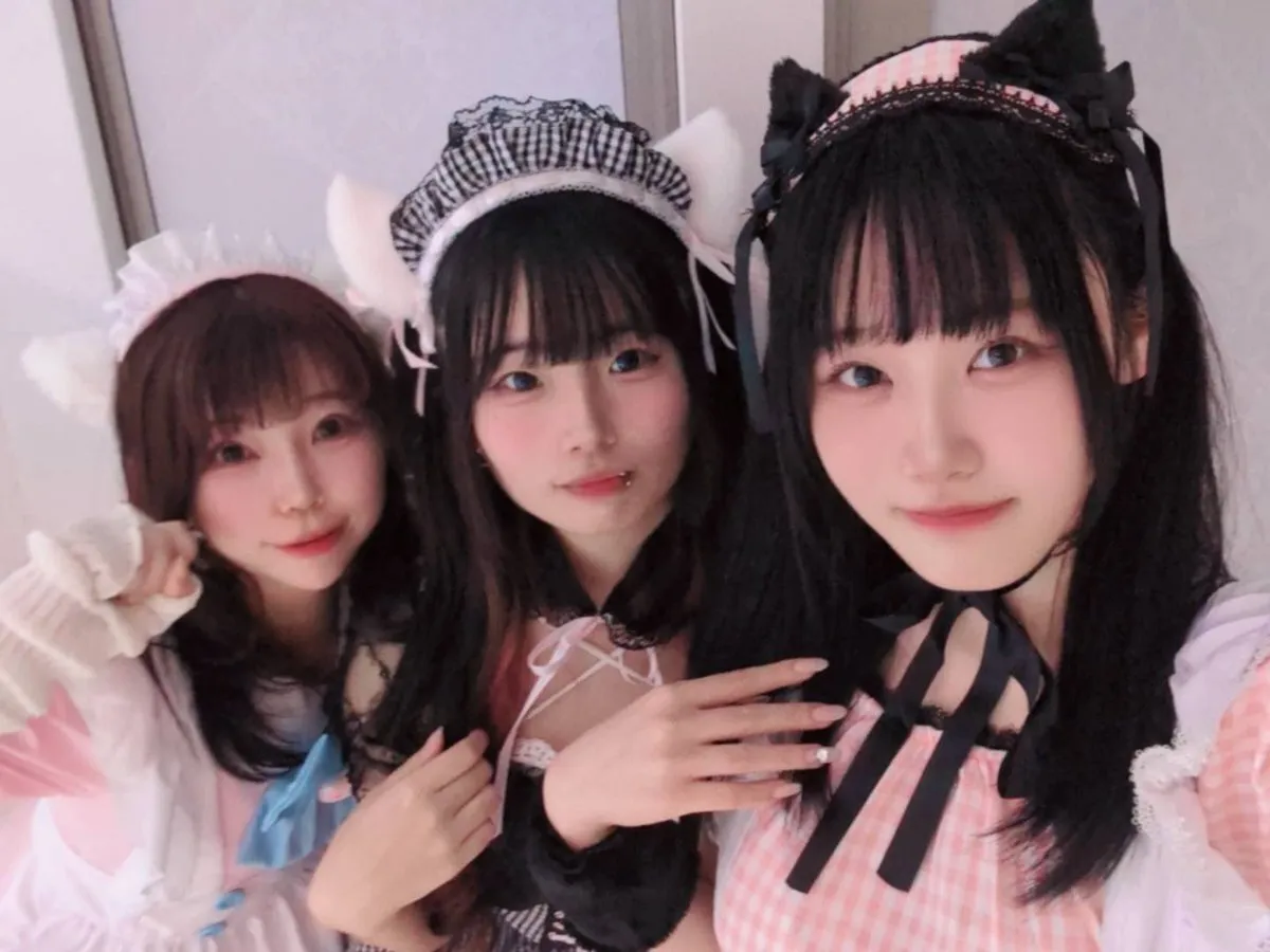 あきゅろす。🤍秋葉原コンカフェ@akyurosu_akb