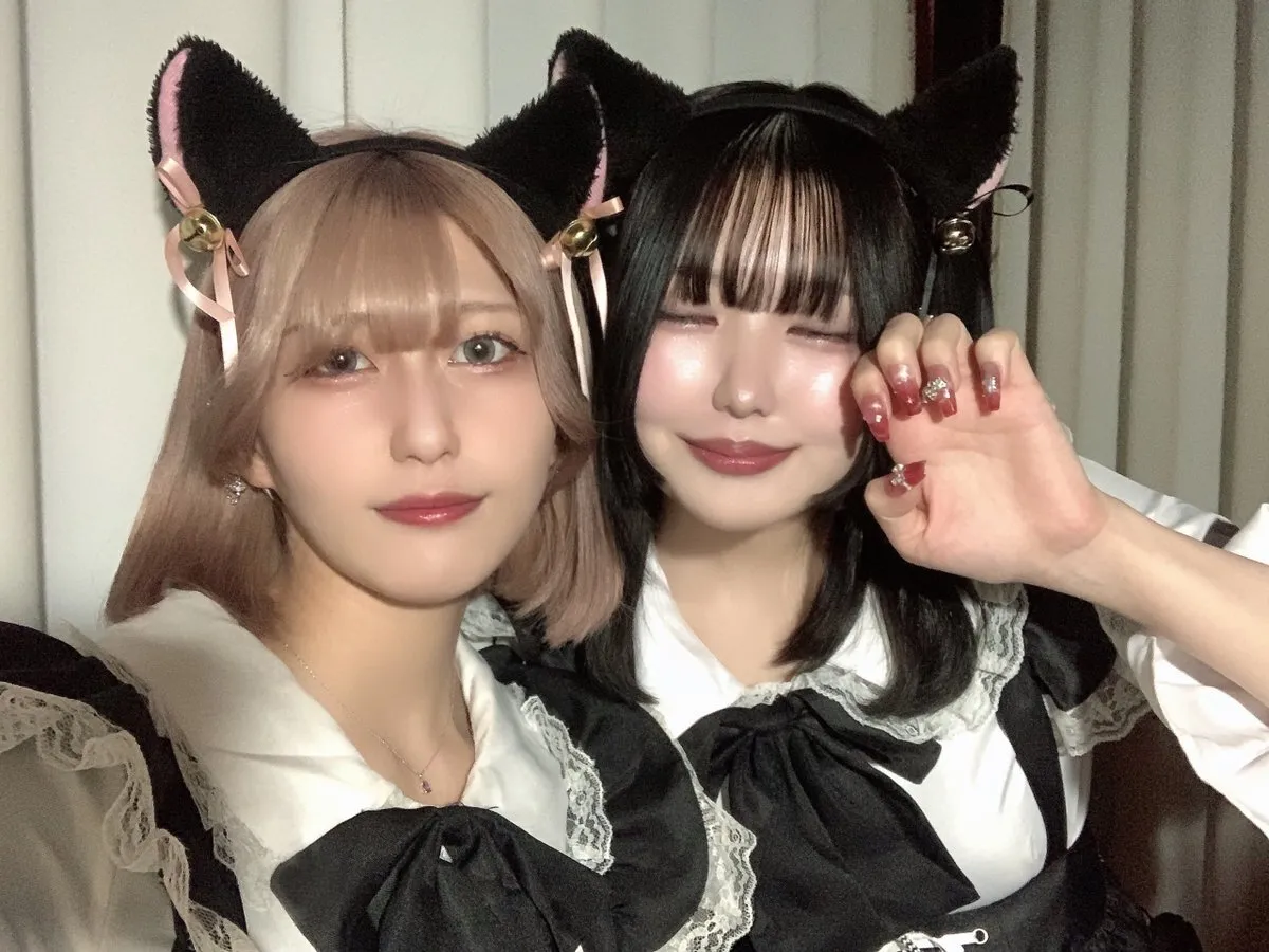 ねこ×のあーる@neko_noir1201