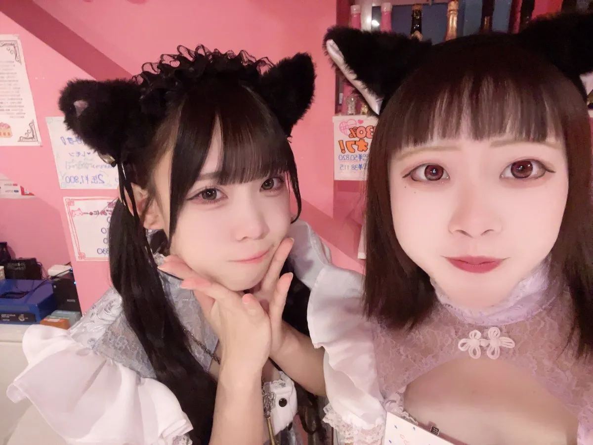 桃猫堂秋葉原店🐾コンカフェ最大手✴️@momonekodou002