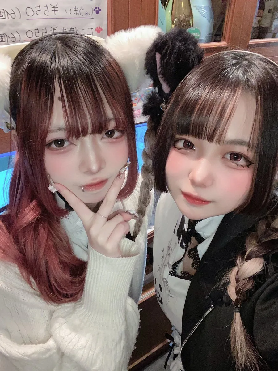 チャイニャコンカフェ桃猫堂 新宿歌舞伎町@コンカフェ最大手@momonekodou001