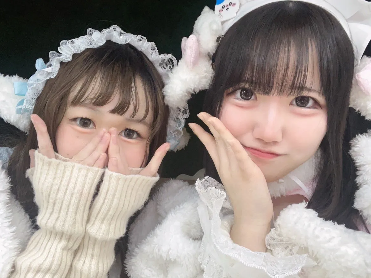 荻窪コンカフェ ひつじ屋さん🐏🌳@Meleap_2024