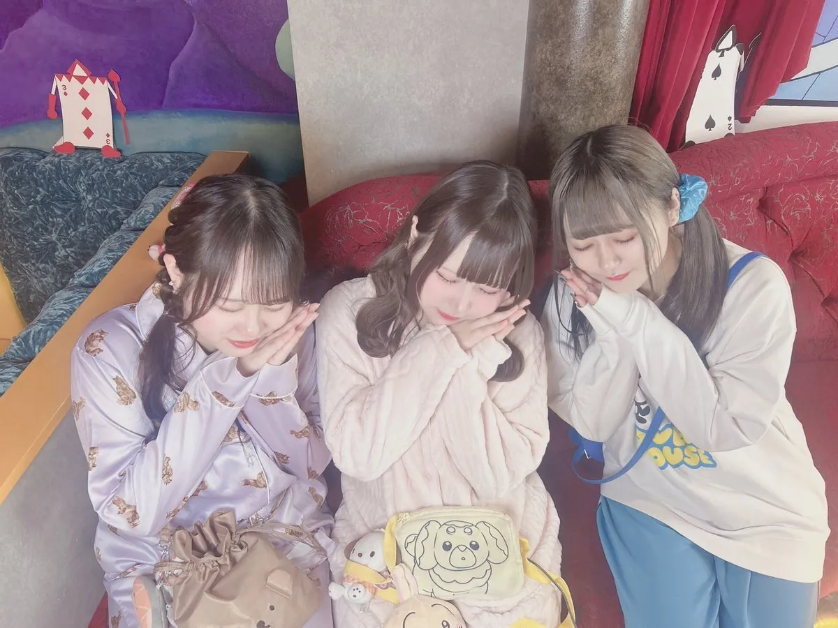 Alice × Alice アリス×アリス 秋葉原コンカフェ@AlicexAlice_Tea