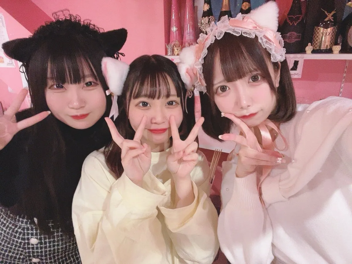 桃猫堂秋葉原店🐾コンカフェ最大手✴️@momonekodou002