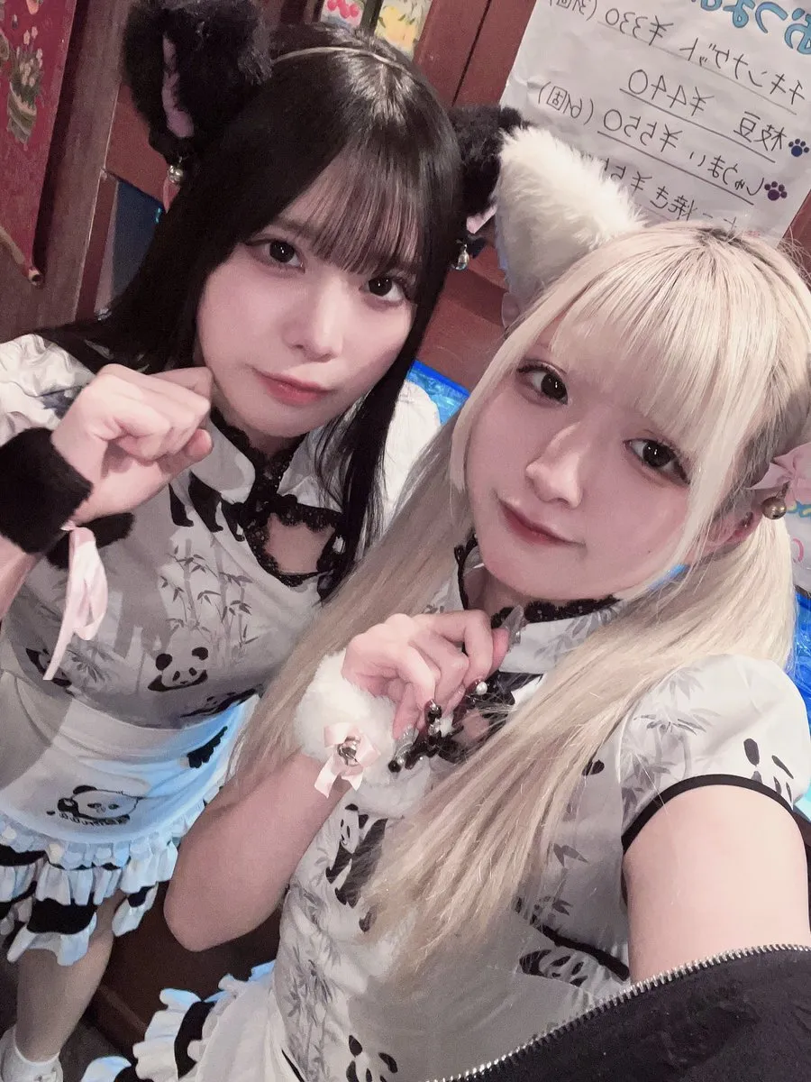 チャイニャコンカフェ桃猫堂 新宿歌舞伎町@コンカフェ最大手@momonekodou001