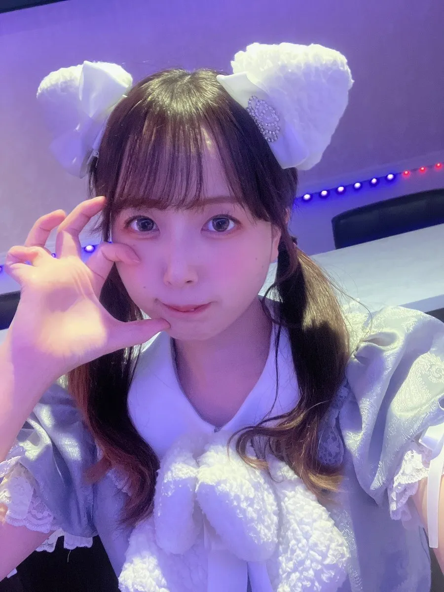 MaineCoon『メインクーン』秋葉原コンカフェ@MaineCoon_nyao_