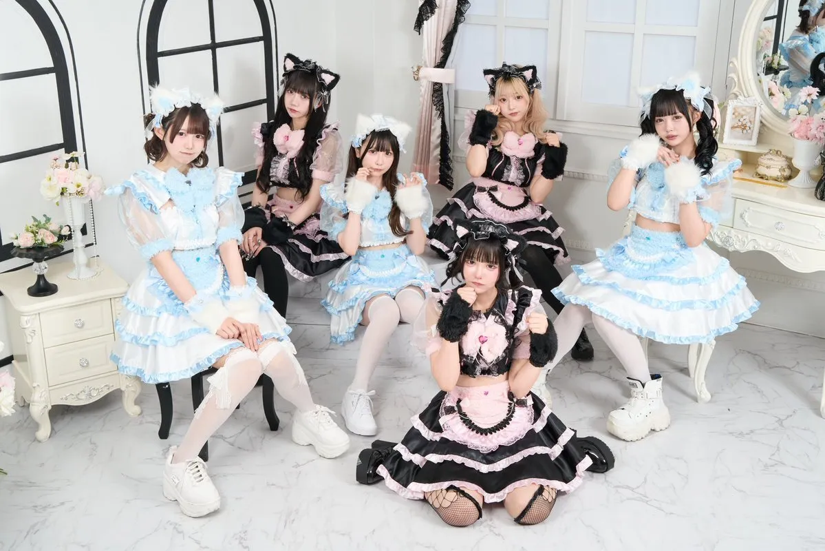 Chairry -幸せを運ぶ猫-@chairry_nyan