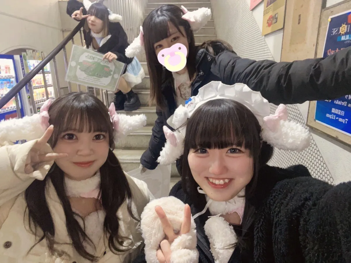 荻窪コンカフェ ひつじ屋さん🐏🌳@Meleap_2024