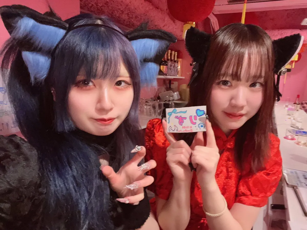 桃猫堂秋葉原店🐾コンカフェ最大手✴️@momonekodou002