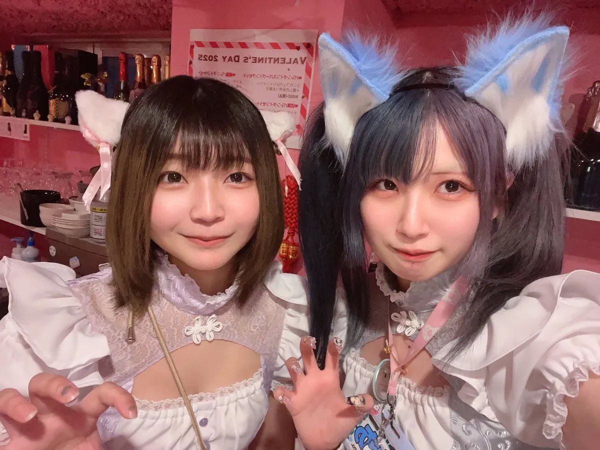 桃猫堂秋葉原店🐾コンカフェ最大手✴️@momonekodou002