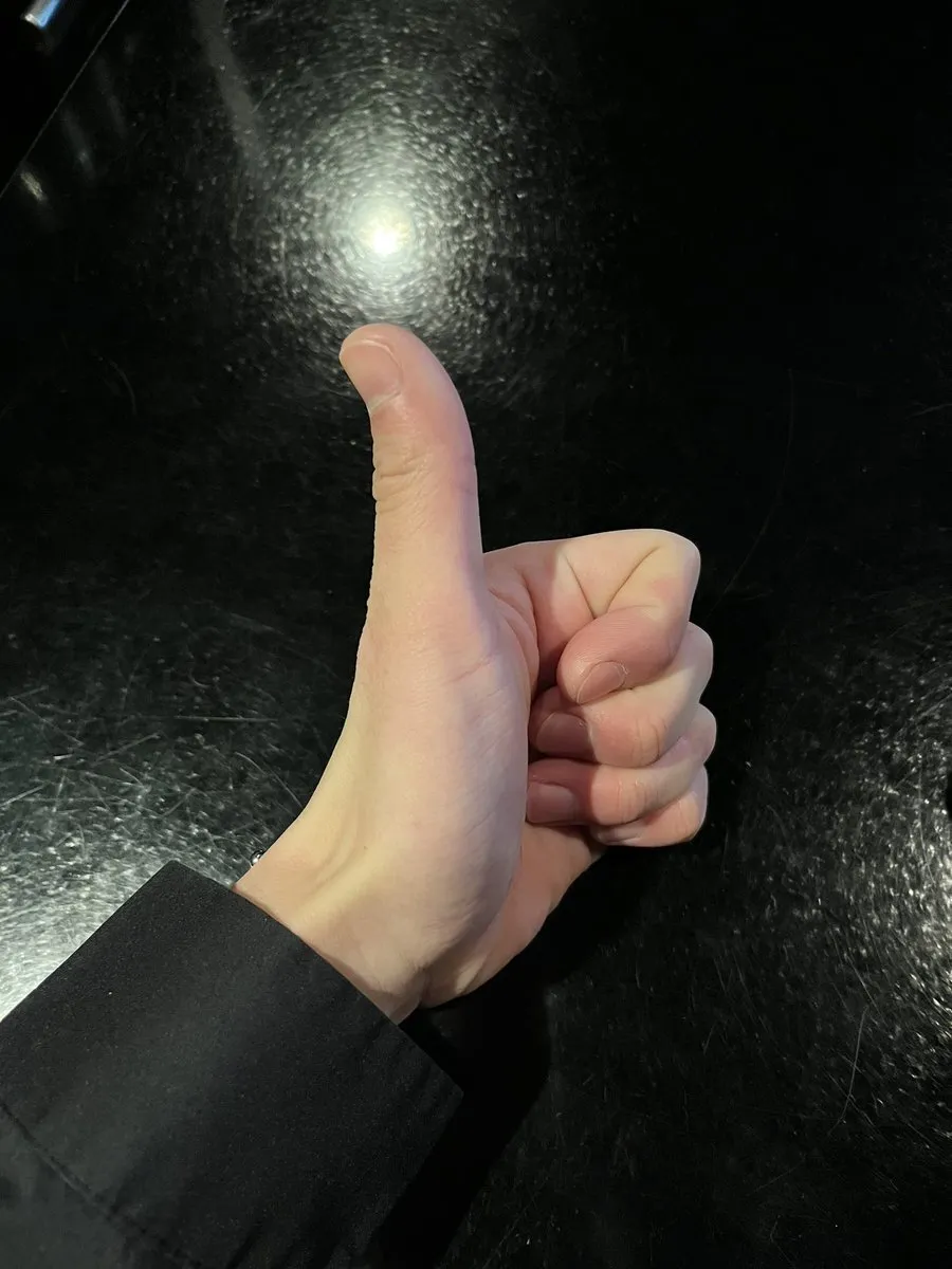 やまと@Feliz@Feliz_yamato_