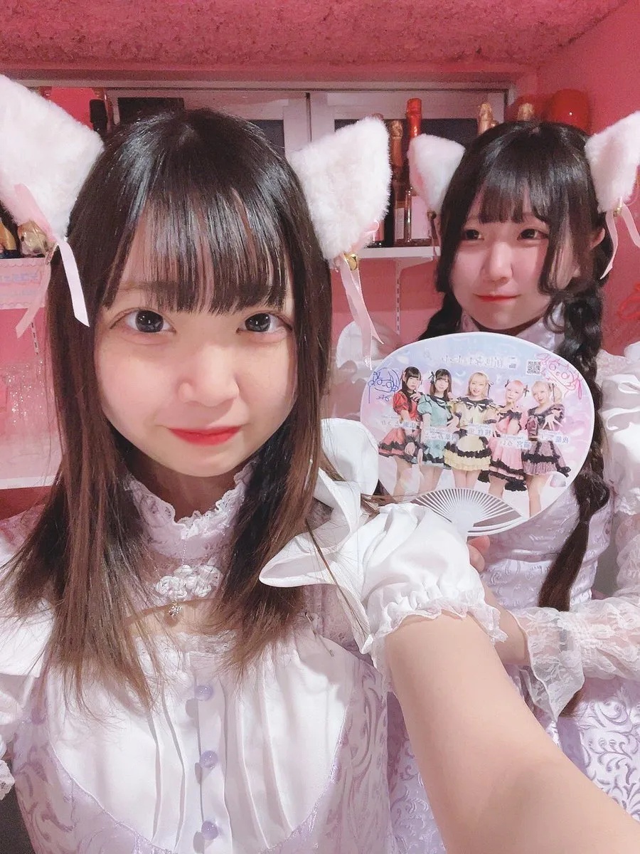 桃猫堂秋葉原店🐾コンカフェ最大手✴️@momonekodou002