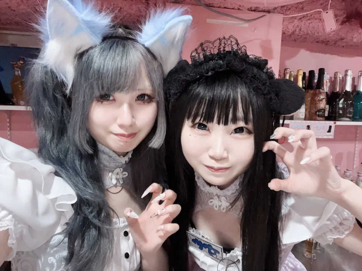 桃猫堂秋葉原店🐾コンカフェ最大手✴️@momonekodou002