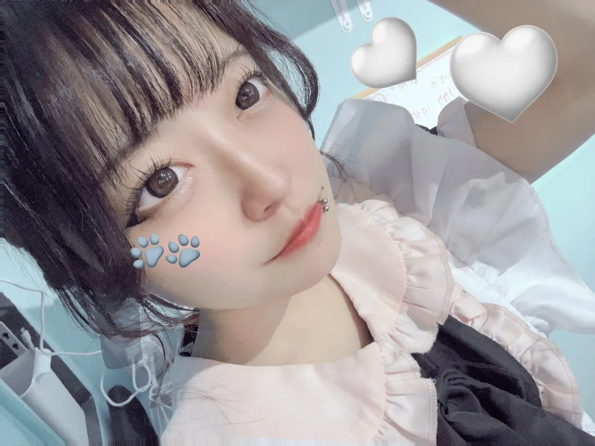 🤍早紅しろ(ねこ)🐾夢番地1丁目@hayaku_shiro