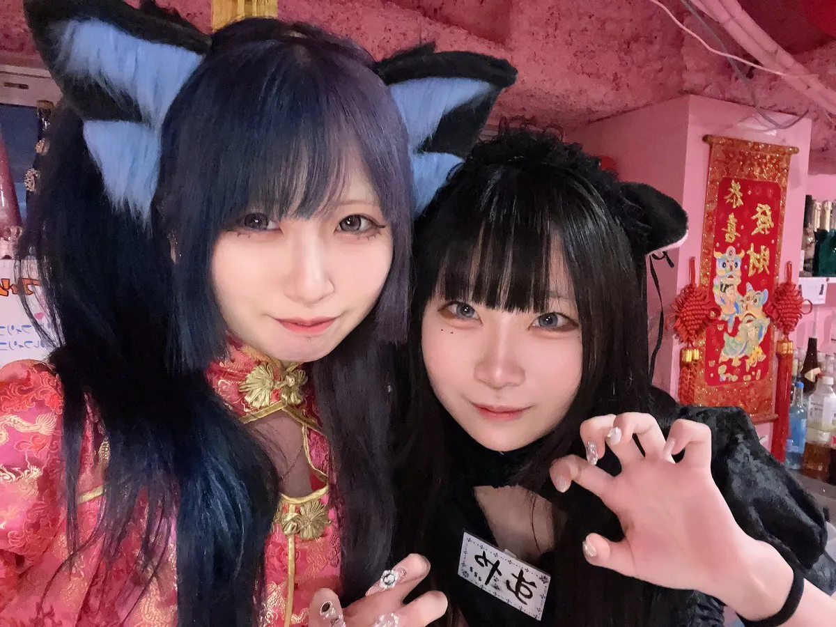 桃猫堂秋葉原店🐾コンカフェ最大手✴️@momonekodou002