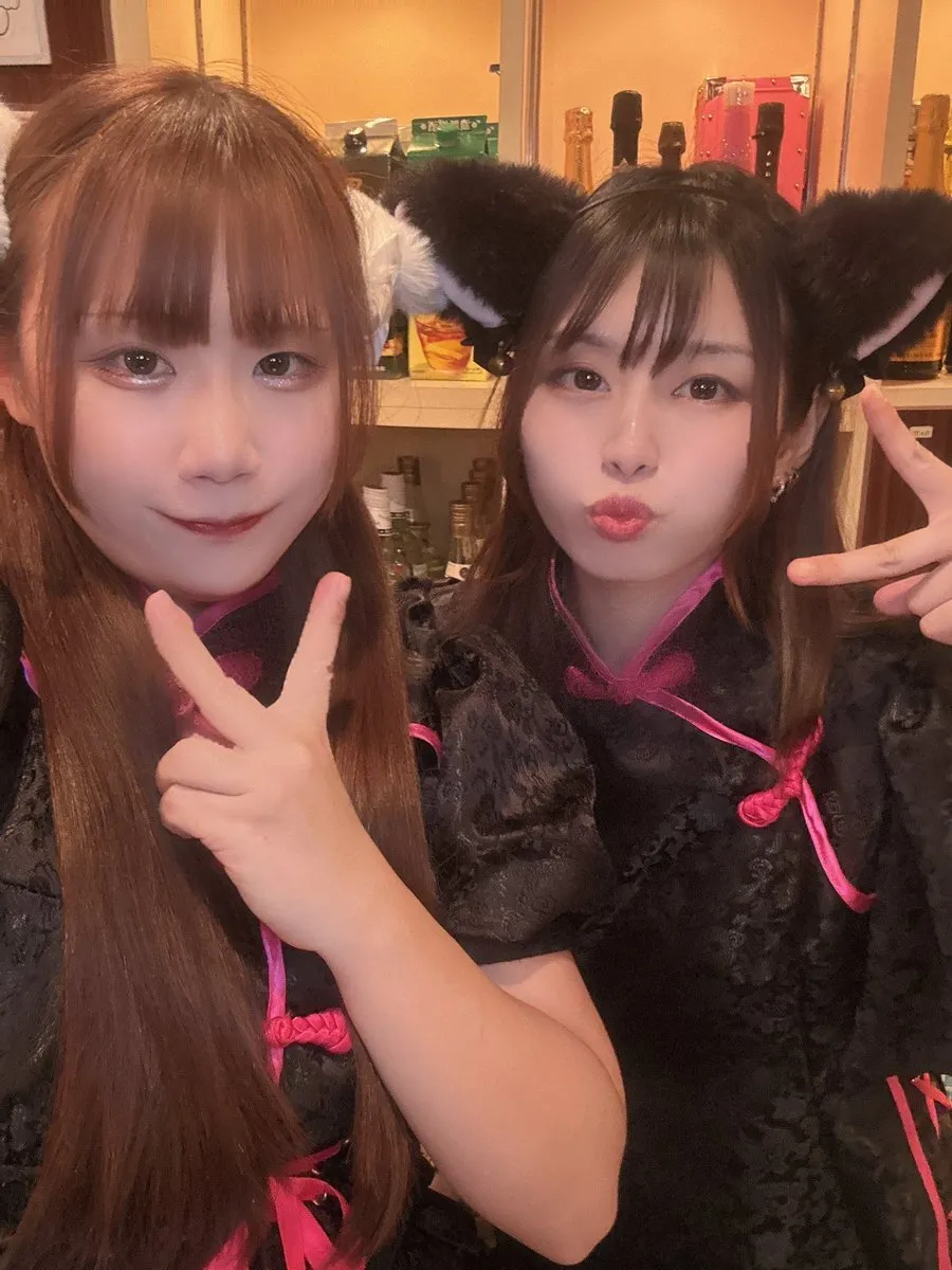 桃猫堂横浜店🐱コンカフェ最大手@momoneko_ykhm