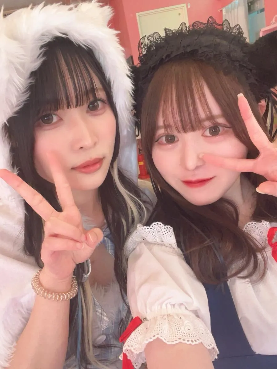 うた@みけねこカフェ川越@utamikecat