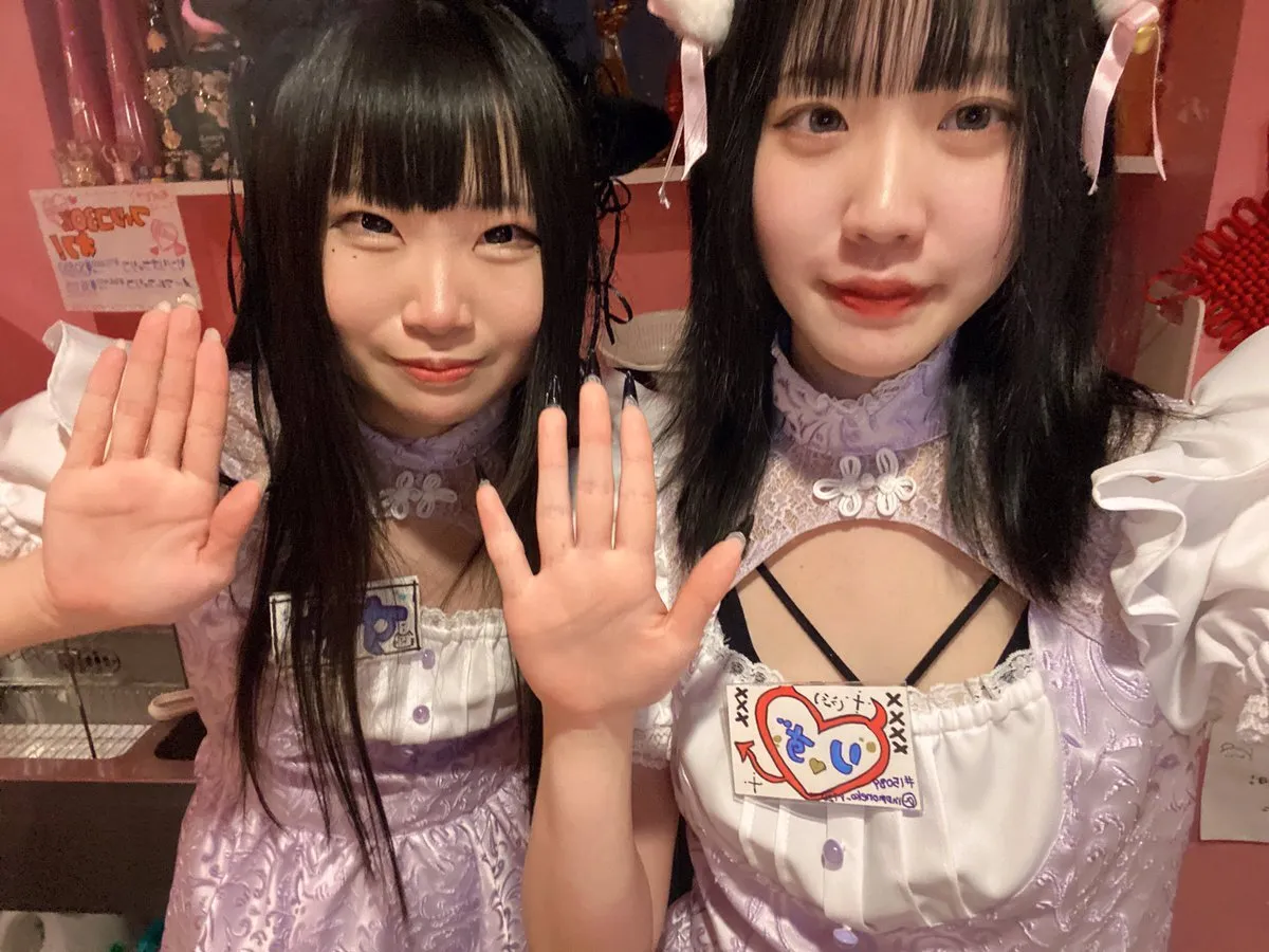 桃猫堂秋葉原店🐾コンカフェ最大手✴️@momonekodou002