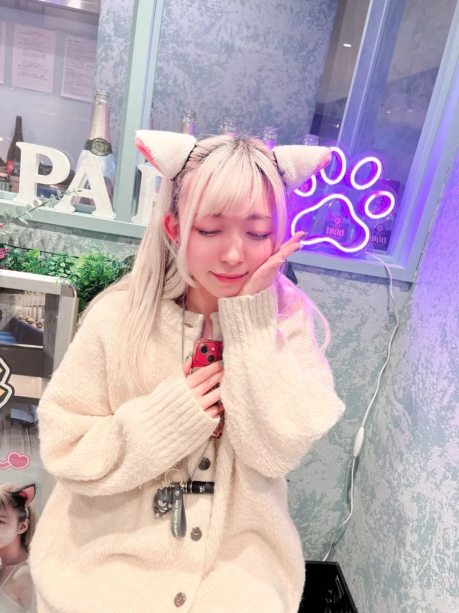 【池袋にゃんパラ】にゃんこパラダイス🐈@NyankoParadise_