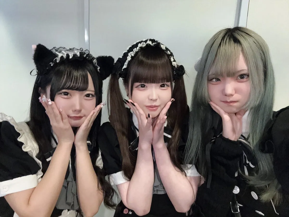 メイド喫茶ぷりもふぃ〜ね仙台店@purimo_sendai