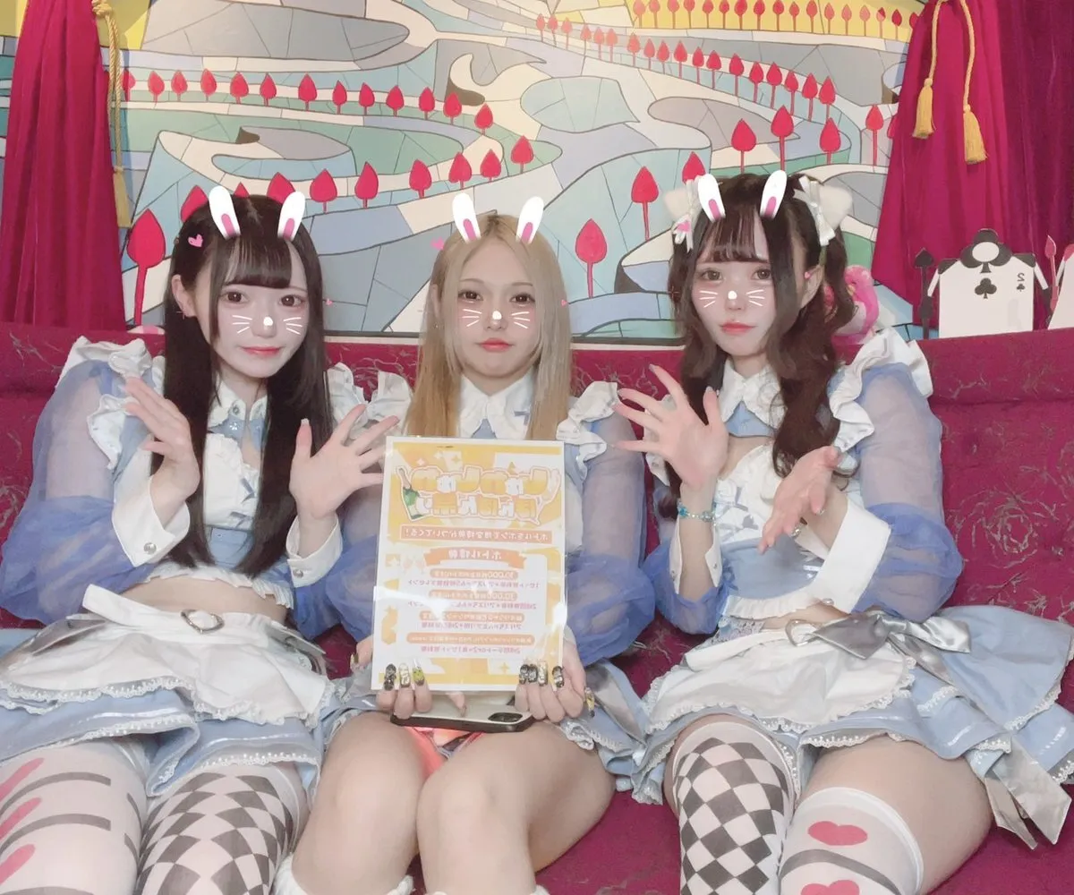 Alice × Alice アリス×アリス 秋葉原コンカフェ@AlicexAlice_Tea