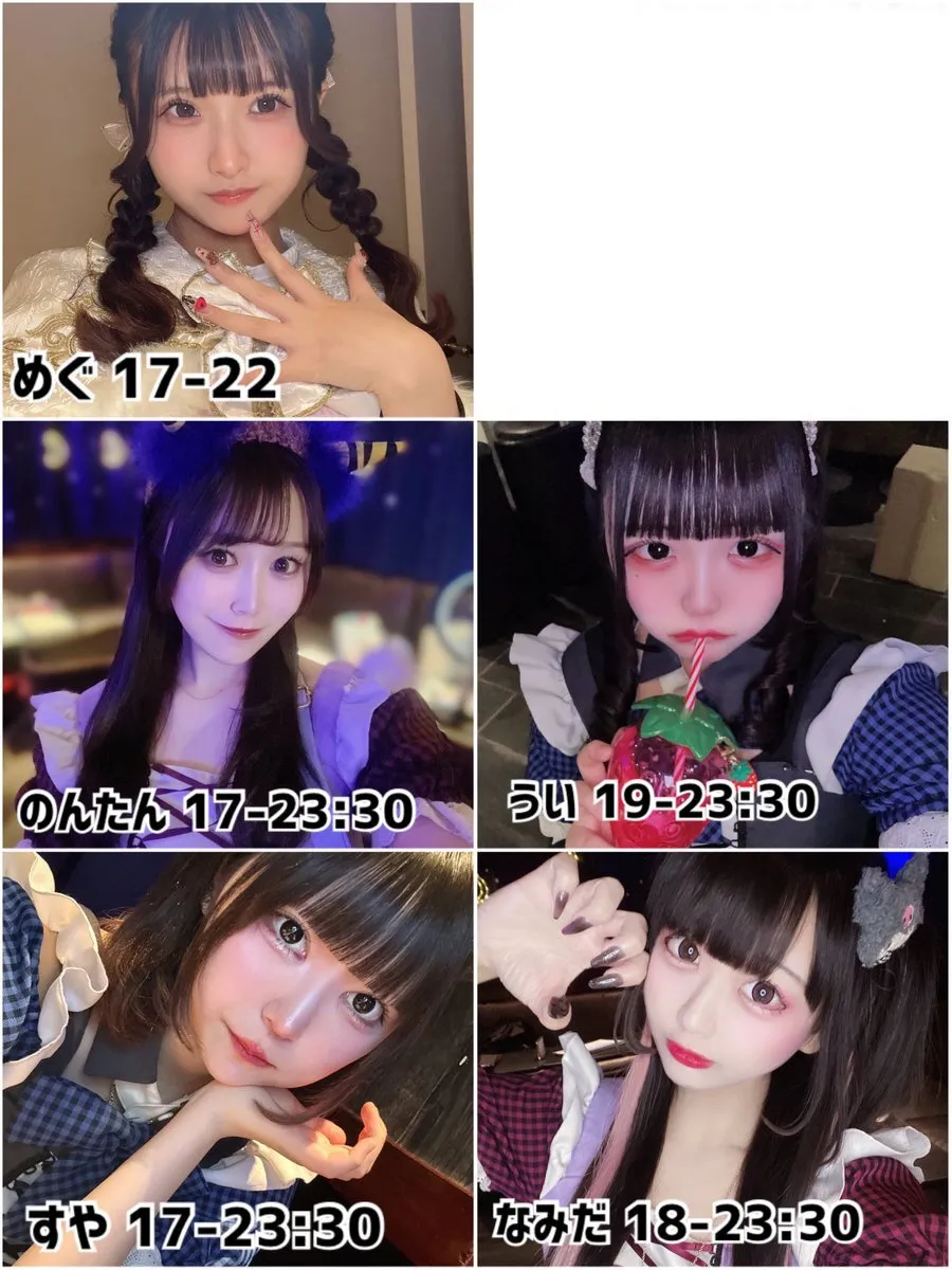 Starry Paradise@StarryParadise_