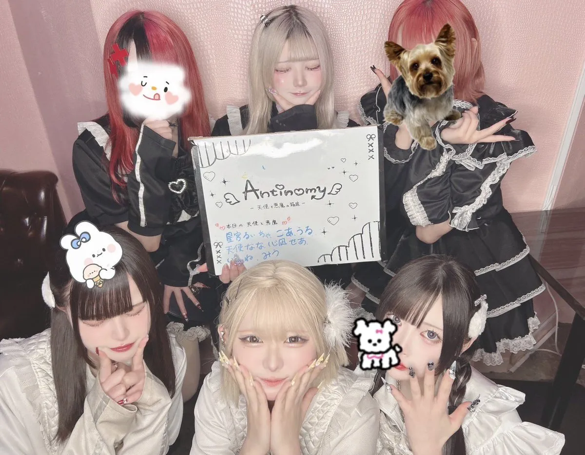 Antinomy -天使と悪魔の箱庭-@Antinomy_0