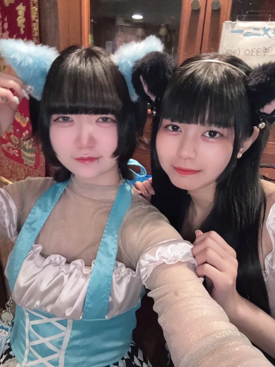 チャイニャコンカフェ桃猫堂 新宿歌舞伎町@コンカフェ最大手@momonekodou001